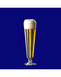 Biertulpe 0,2l SAN glasklar